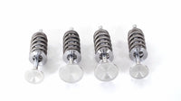 M17X Valve Spring Set