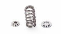 M17X Valve Spring Set